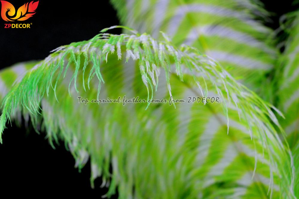 Zpdecor Feathers Wholsale Striped Dyed Ostrich Feathers