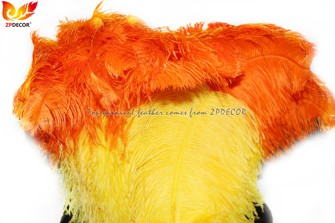 Zpdecor Feathers Wholsale Ostrich Feathers