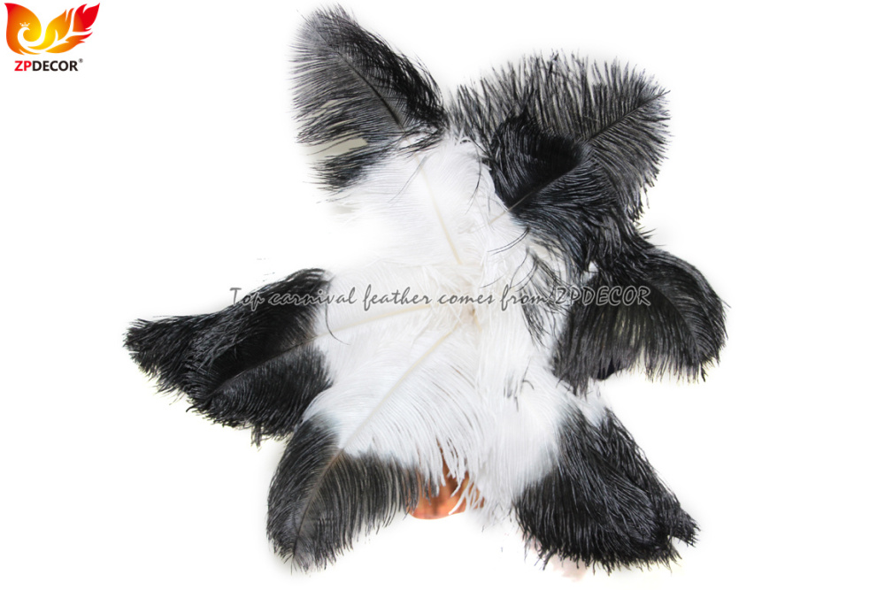 Zpdecor Feathers Wholsale White Ostrich Feathers with Black Tip