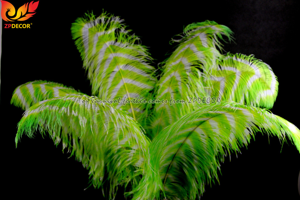 Zpdecor Feathers Wholsale Striped Dyed Ostrich Feathers