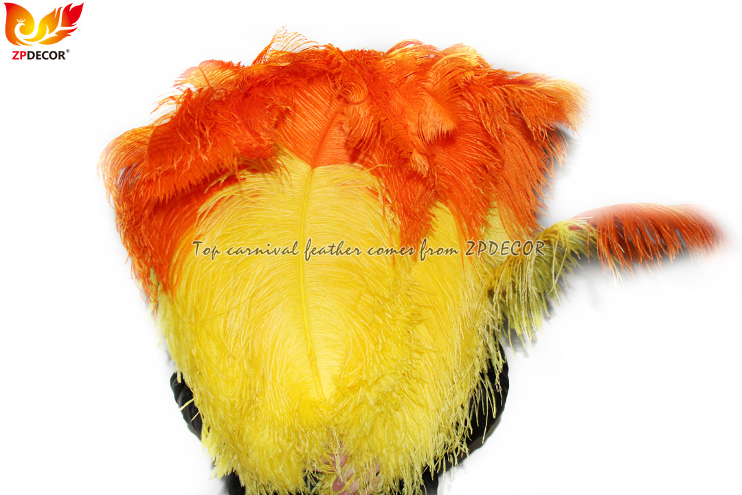 Zpdecor Feathers Wholsale Ostrich Feathers