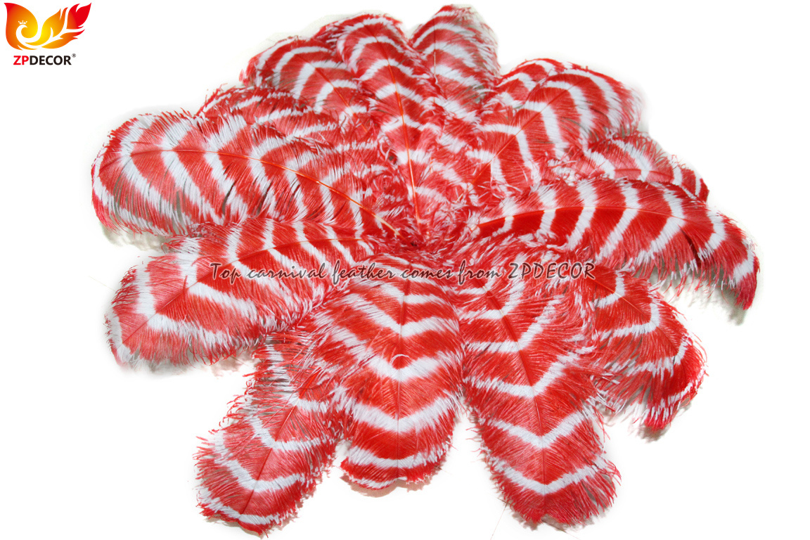 Zpdecor Feathers Wholsale Striped Ostrich Feathers
