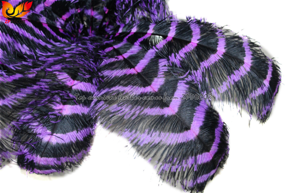 Zpdecor Feathers Wholsale  Striped Ostrich Feathers