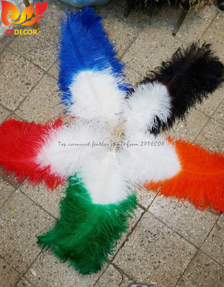 Zpdecor Feathers Wholsale Ostrich Feathers