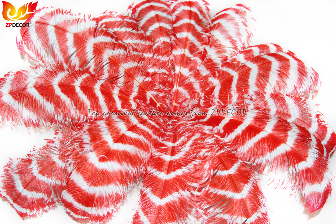 Zpdecor Feathers Wholsale Striped Ostrich Feathers