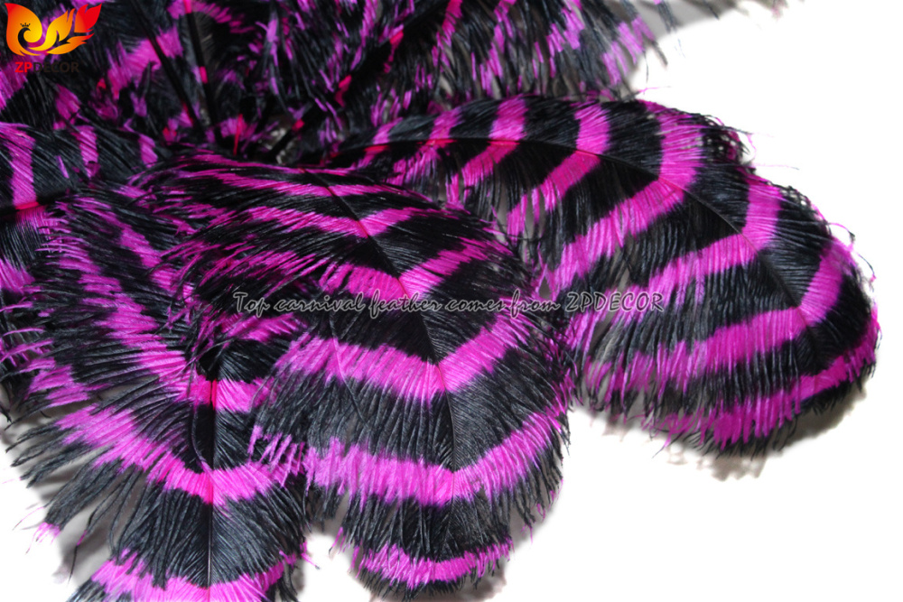 Zpdecor Feathers Wholsale Striped Ostrich Feathers