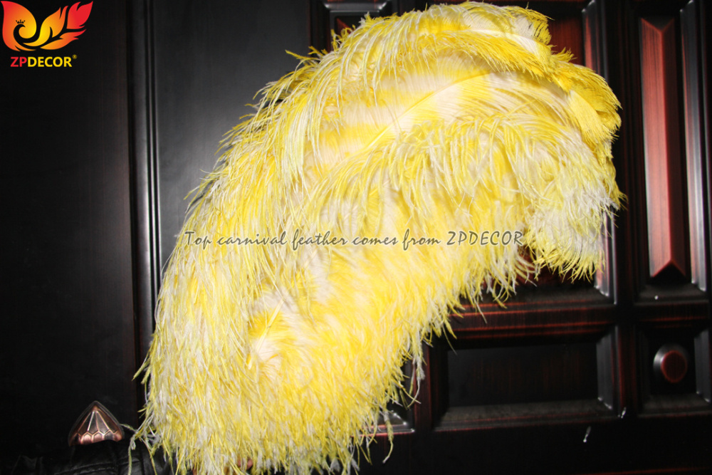 Zpdecor Feathers Dyed Ostrich Feathers