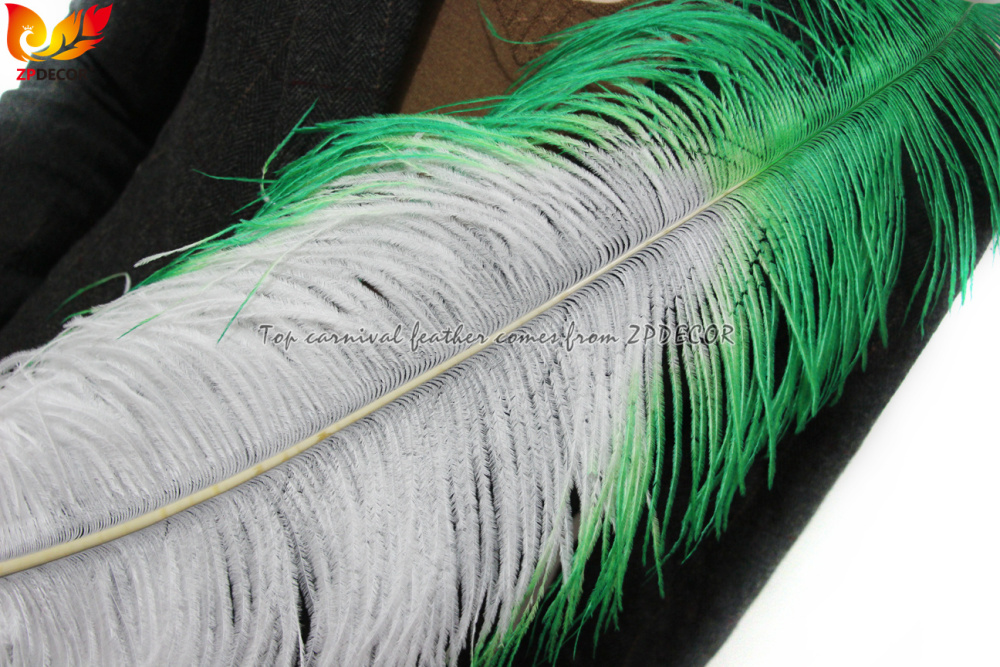 Zpdecor Feathers Wholsale Ostrich Feathers