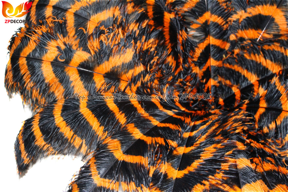 Zpdecor Feathers Wholsale Striped Ostrich Feathers