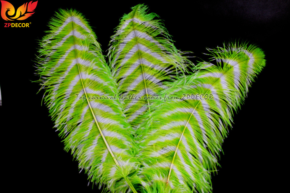 Zpdecor Feathers Wholsale Striped Dyed Ostrich Feathers