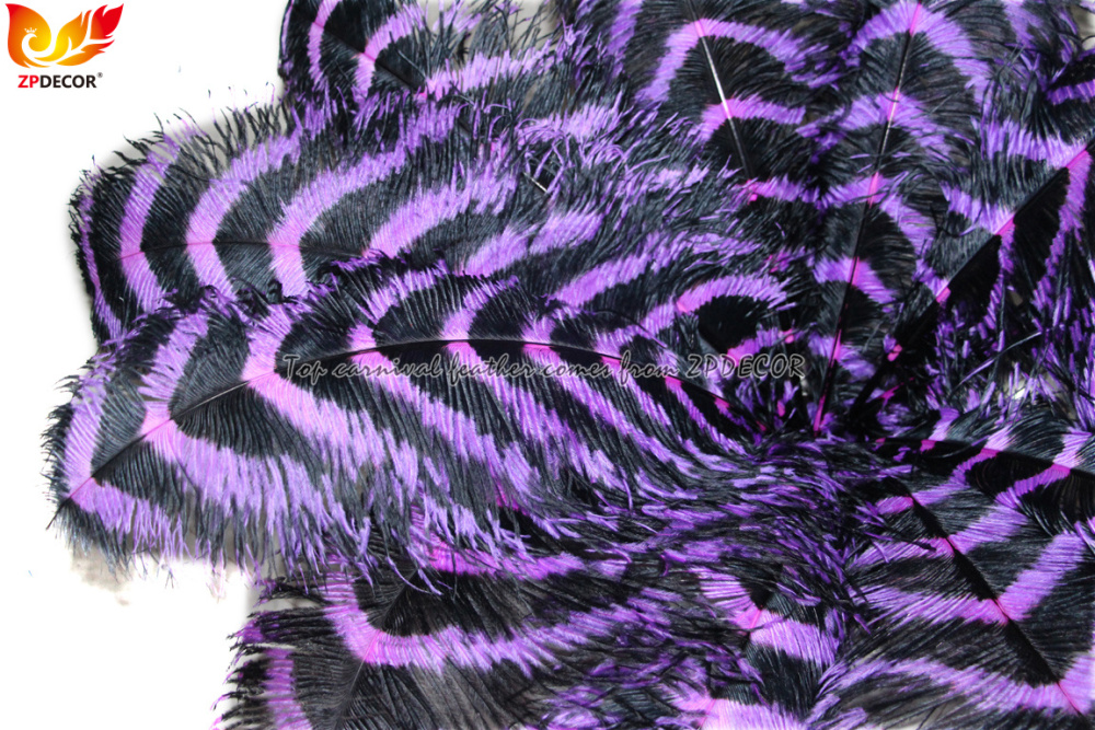 Zpdecor Feathers Wholsale  Striped Ostrich Feathers