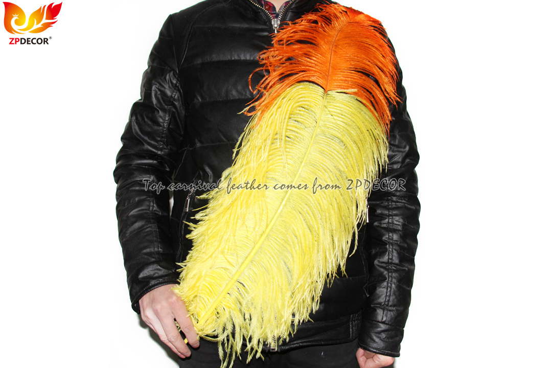 Zpdecor Feathers Wholsale Ostrich Feathers