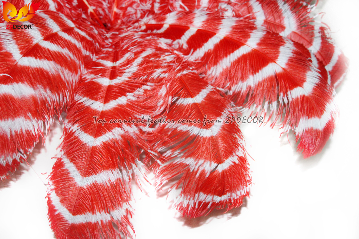 Zpdecor Feathers Wholsale Striped Ostrich Feathers