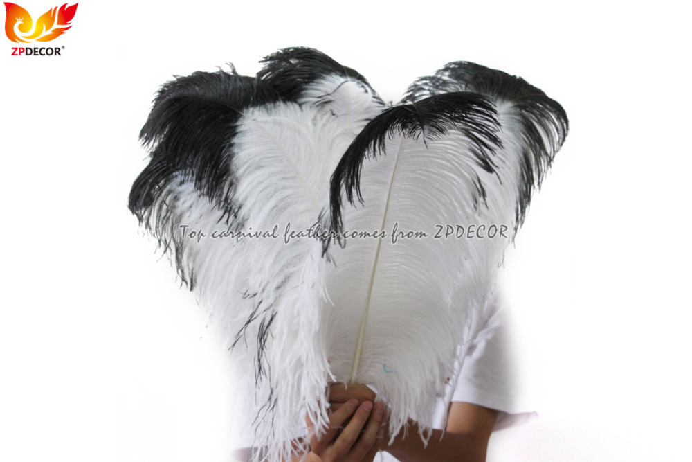Zpdecor Feathers Wholsale White Ostrich Feathers with Black Tip