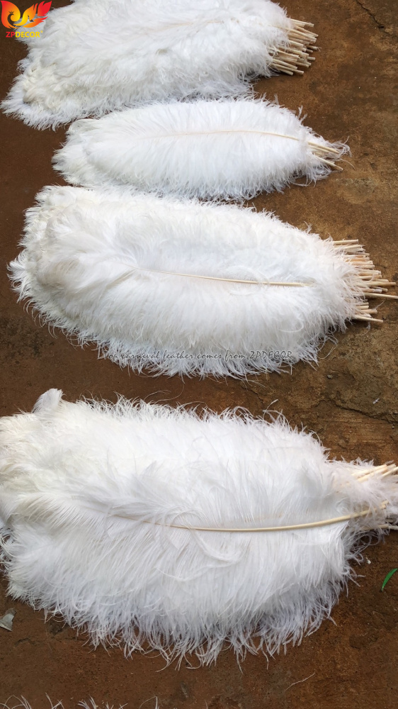 Zpdecor Feathers Factory Wholsale 70-75cm Large White Ostrich Feathers