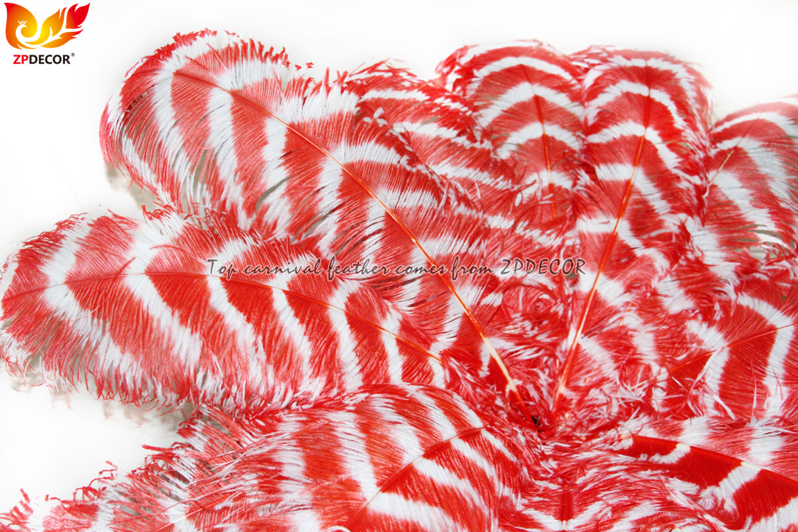 Zpdecor Feathers Wholsale Striped Ostrich Feathers