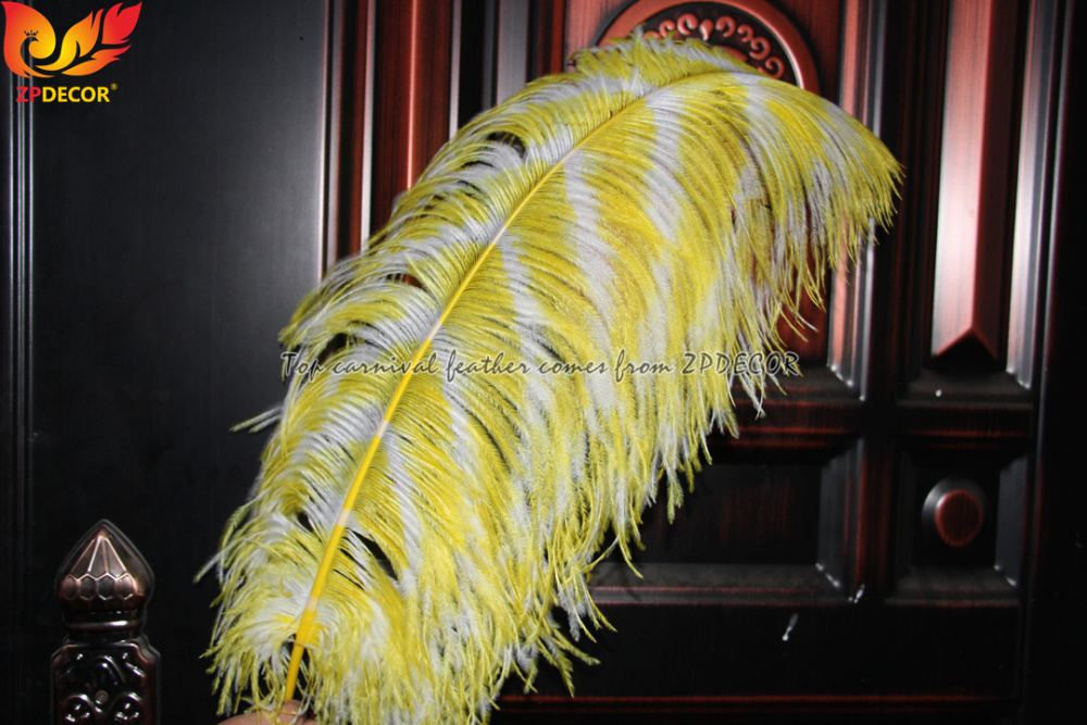 Zpdecor Feathers Dyed Ostrich Feathers