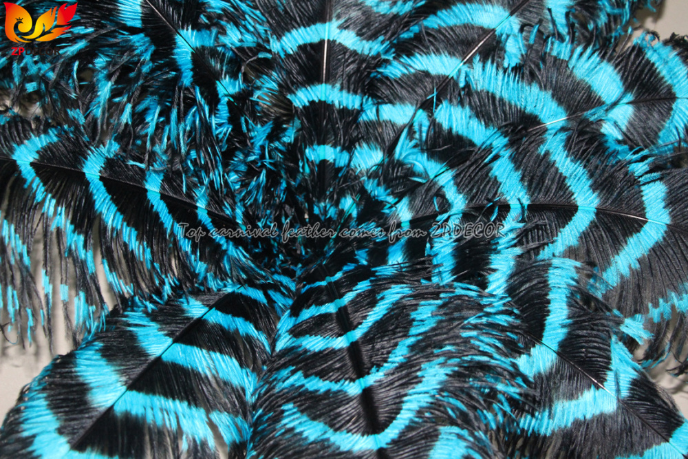 Zpdecor Feathers Wholsale Striped Ostrich Feathers