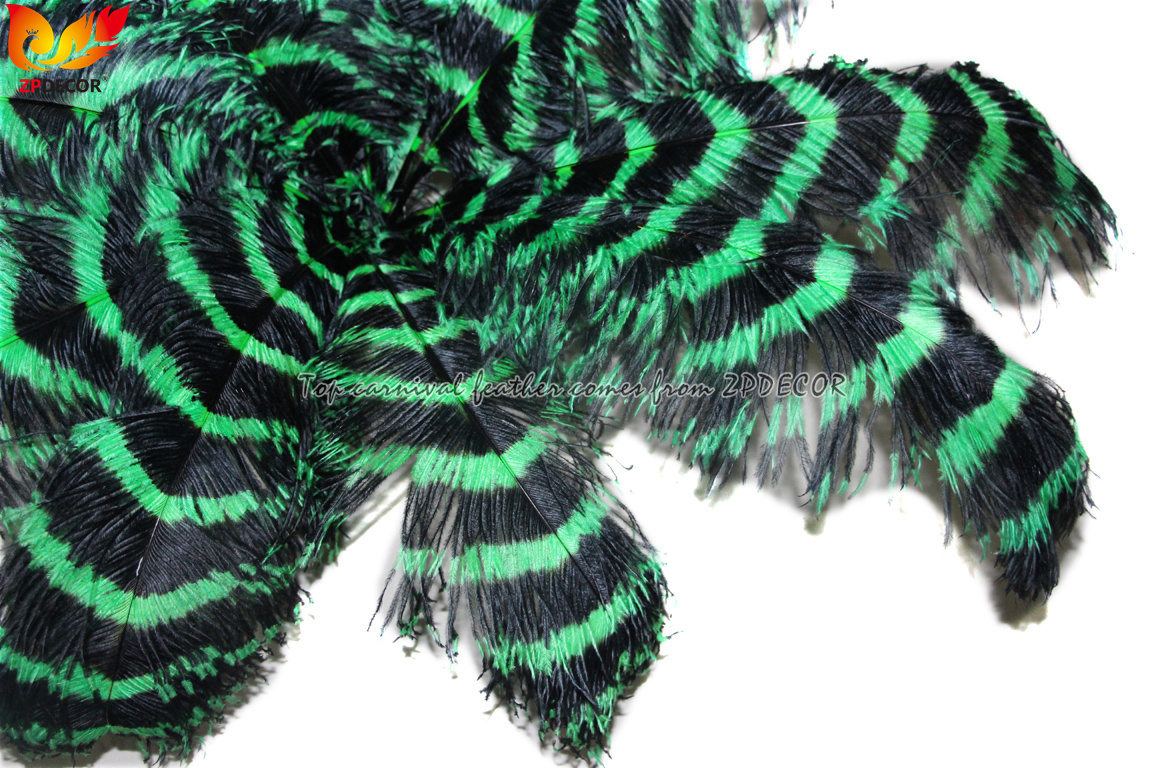 Zpdecor Feathers Wholsale Striped Ostrich Feathers