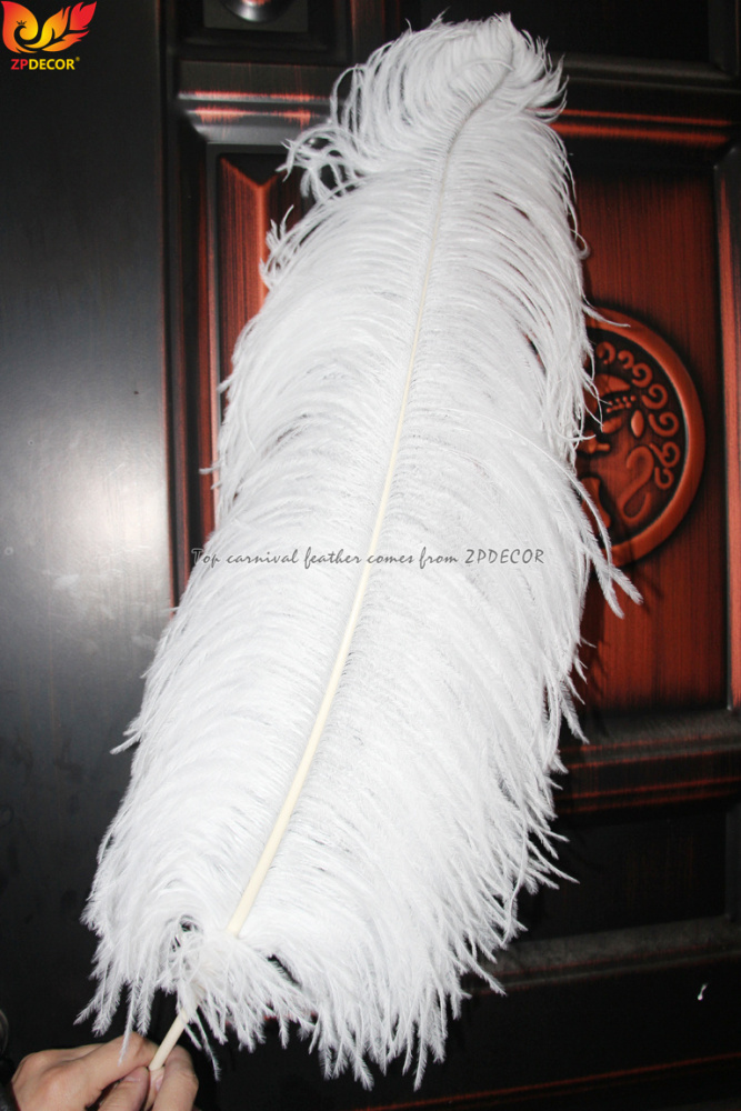 Zpdecor Feathers Factory Wholsale 70-75cm Large White Ostrich Feathers