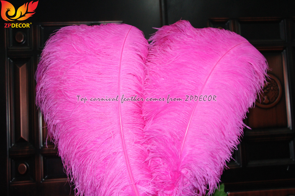 Zpdecor Feathers Wholsale Pink Ostrich Feathers