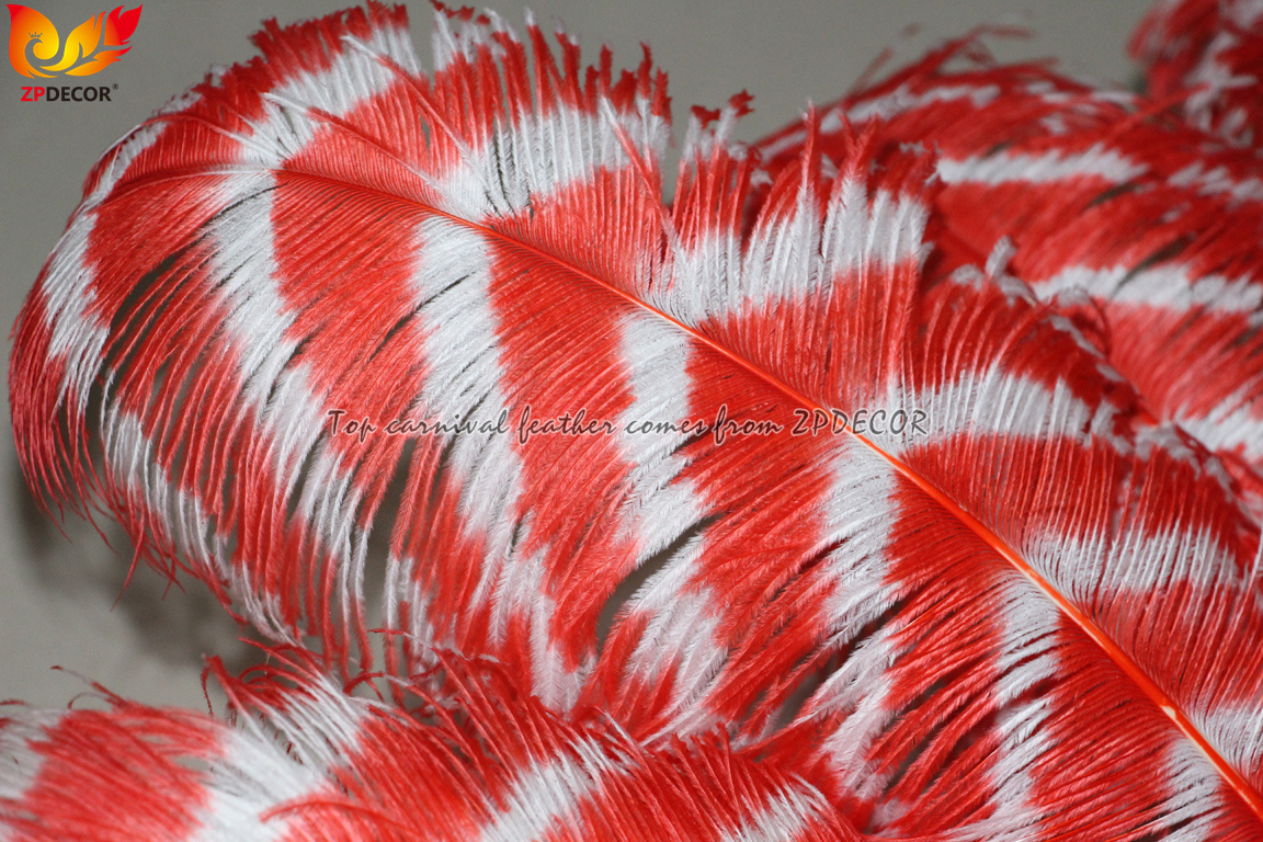 Zpdecor Feathers Wholsale Striped Ostrich Feathers
