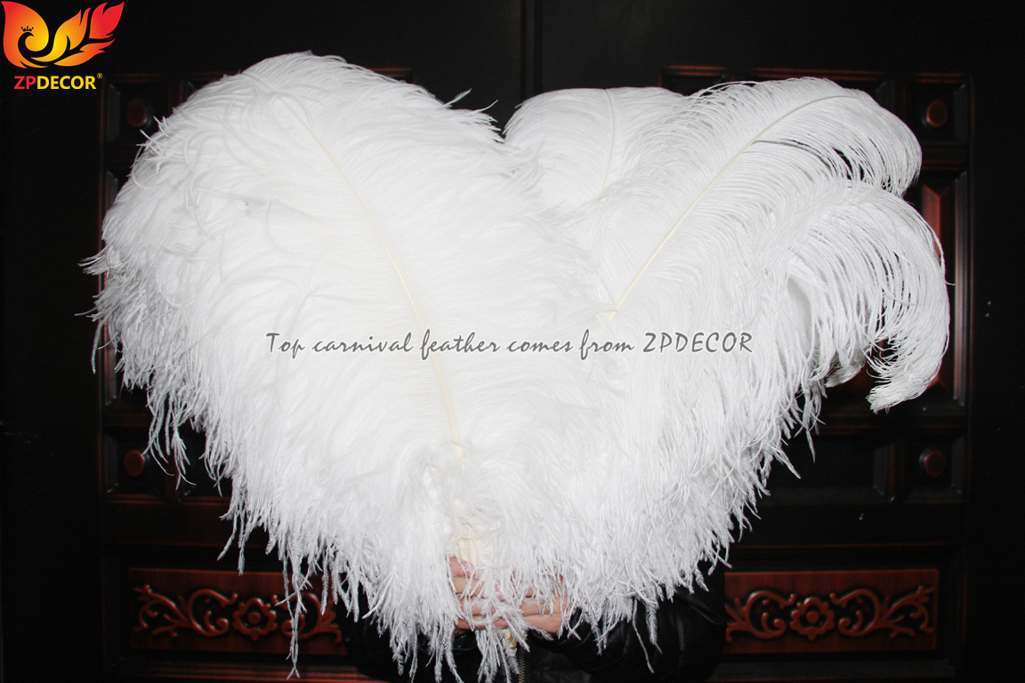 Zpdecor Feathers Factory Wholsale 70-75cm Large White Ostrich Feathers