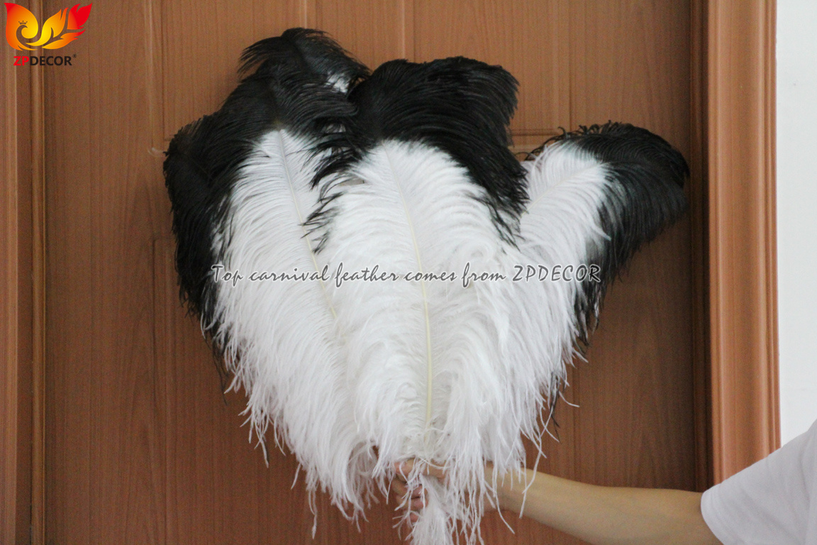 Zpdecor Feathers Wholsale White Ostrich Feathers with Black Tip
