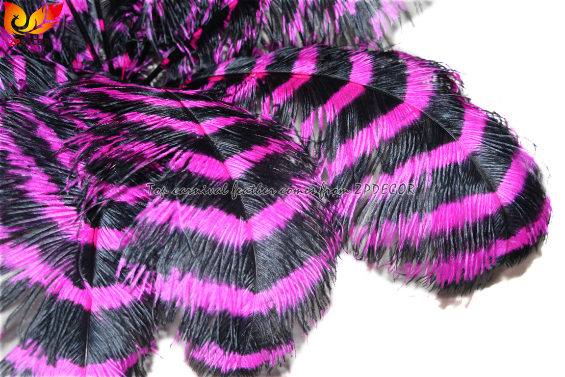 Zpdecor Feathers Wholsale Striped Ostrich Feathers
