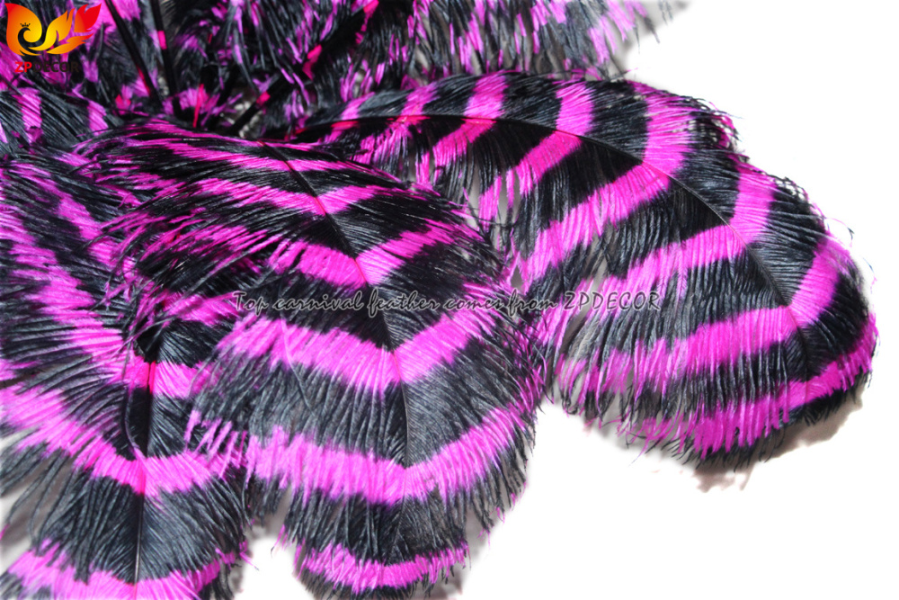 Zpdecor Feathers Wholsale Striped Ostrich Feathers