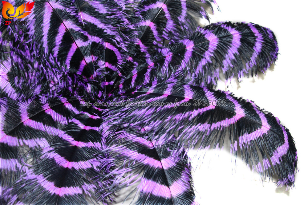 Zpdecor Feathers Wholsale  Striped Ostrich Feathers