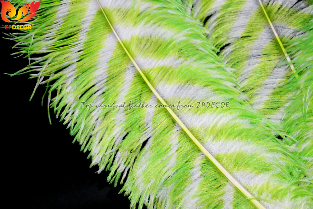 Zpdecor Feathers Wholsale Striped Dyed Ostrich Feathers