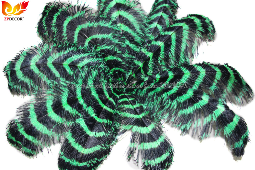 Zpdecor Feathers Wholsale Striped Ostrich Feathers