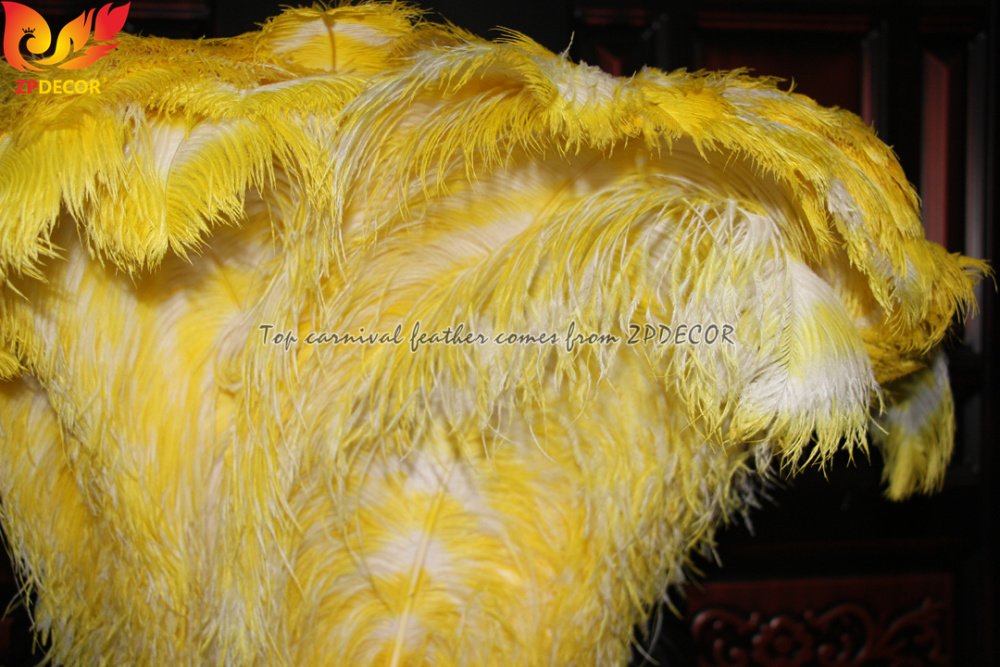 Zpdecor Feathers Dyed Ostrich Feathers