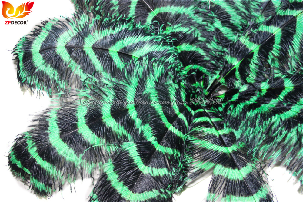 Zpdecor Feathers Wholsale Striped Ostrich Feathers