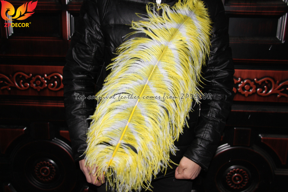 Zpdecor Feathers Dyed Ostrich Feathers