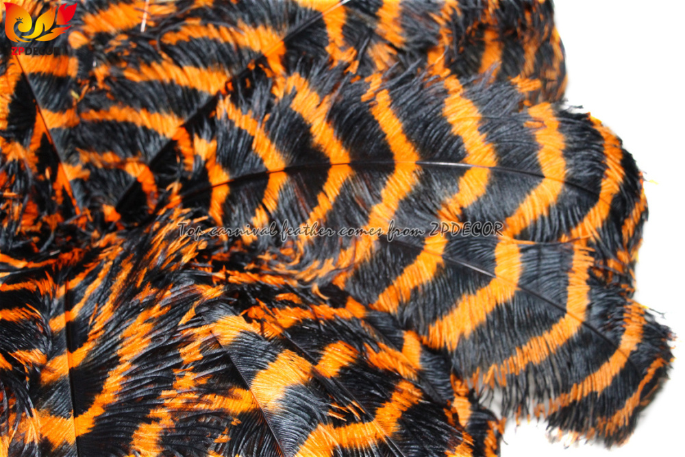 Zpdecor Feathers Wholsale Striped Ostrich Feathers