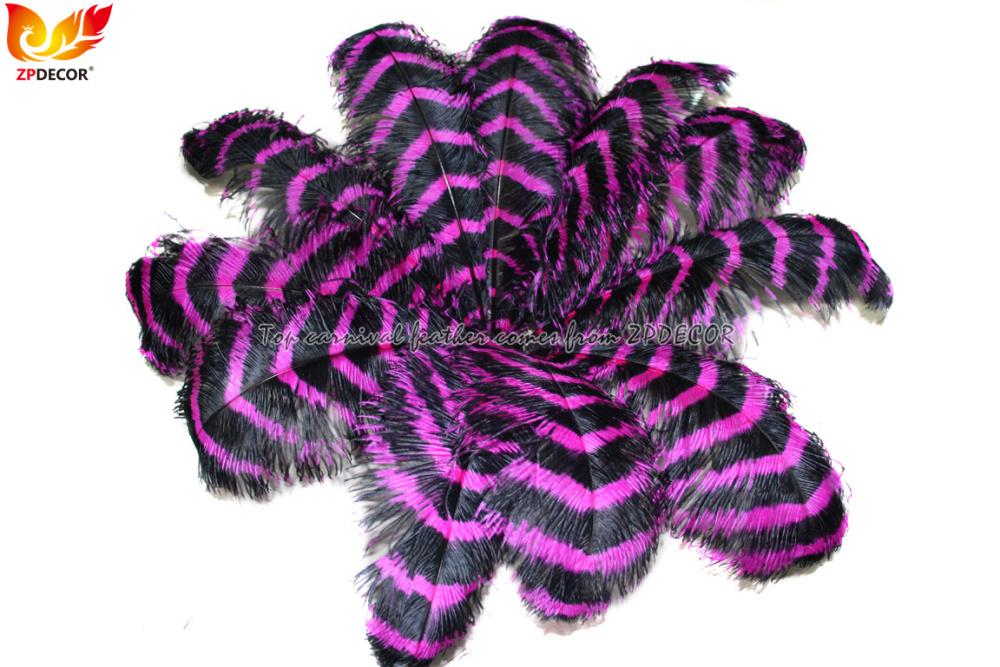 Zpdecor Feathers Wholsale Striped Ostrich Feathers