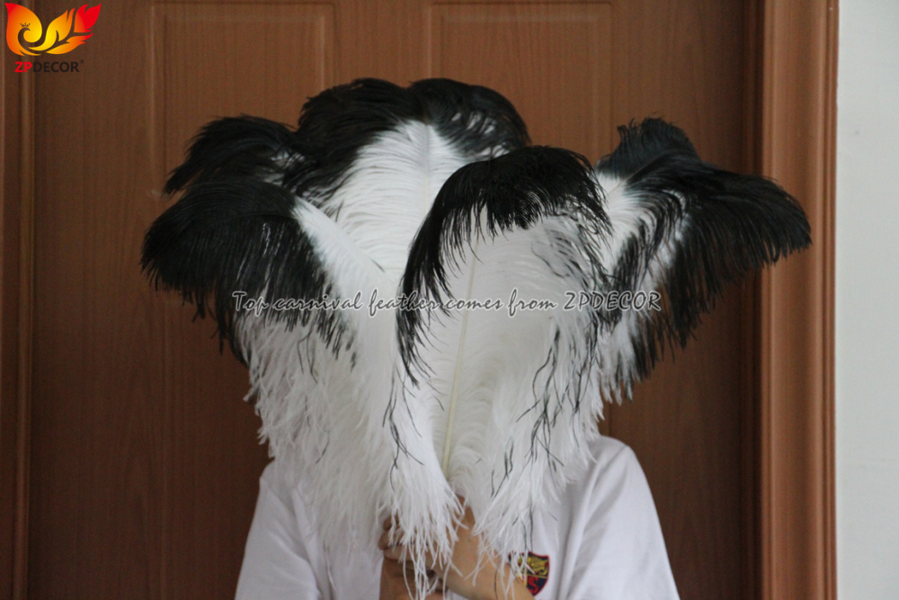 Zpdecor Feathers Wholsale White Ostrich Feathers with Black Tip