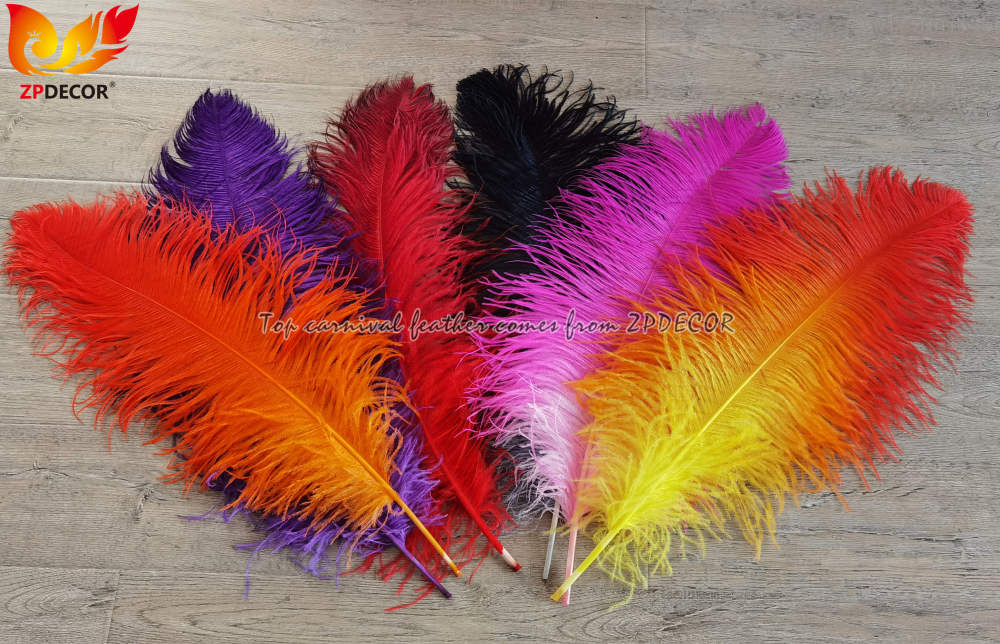 Zpdecor Feathers Wholsale Dyed Ostrich Feathers