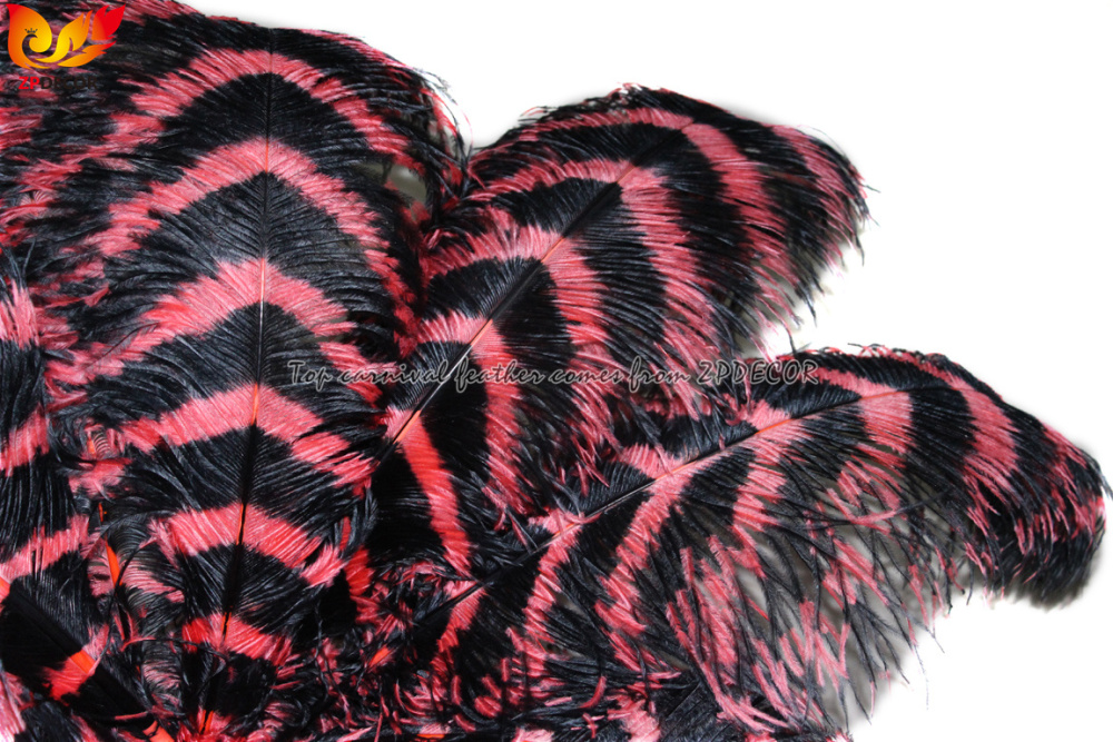 Zpdecor Feathers Wholsale Striped Ostrich Feathers