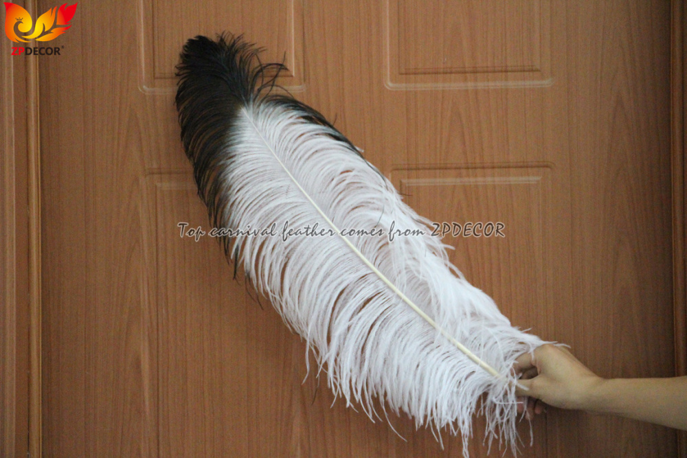Zpdecor Feathers Wholsale White Ostrich Feathers with Black Tip