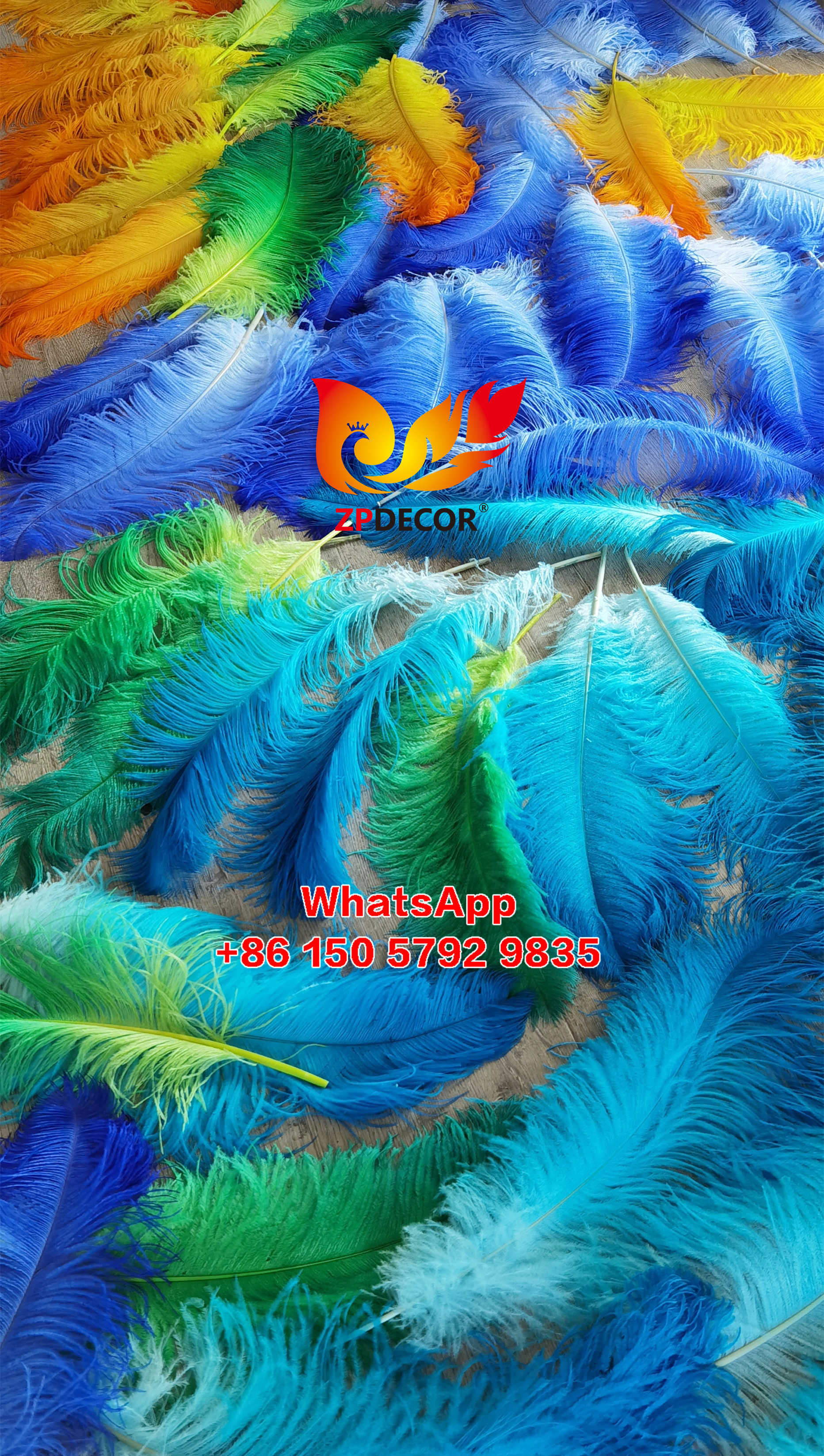 Zpdecor Feathers Supplier Large Dyed Ostrich Feathers for Carnival Costumes