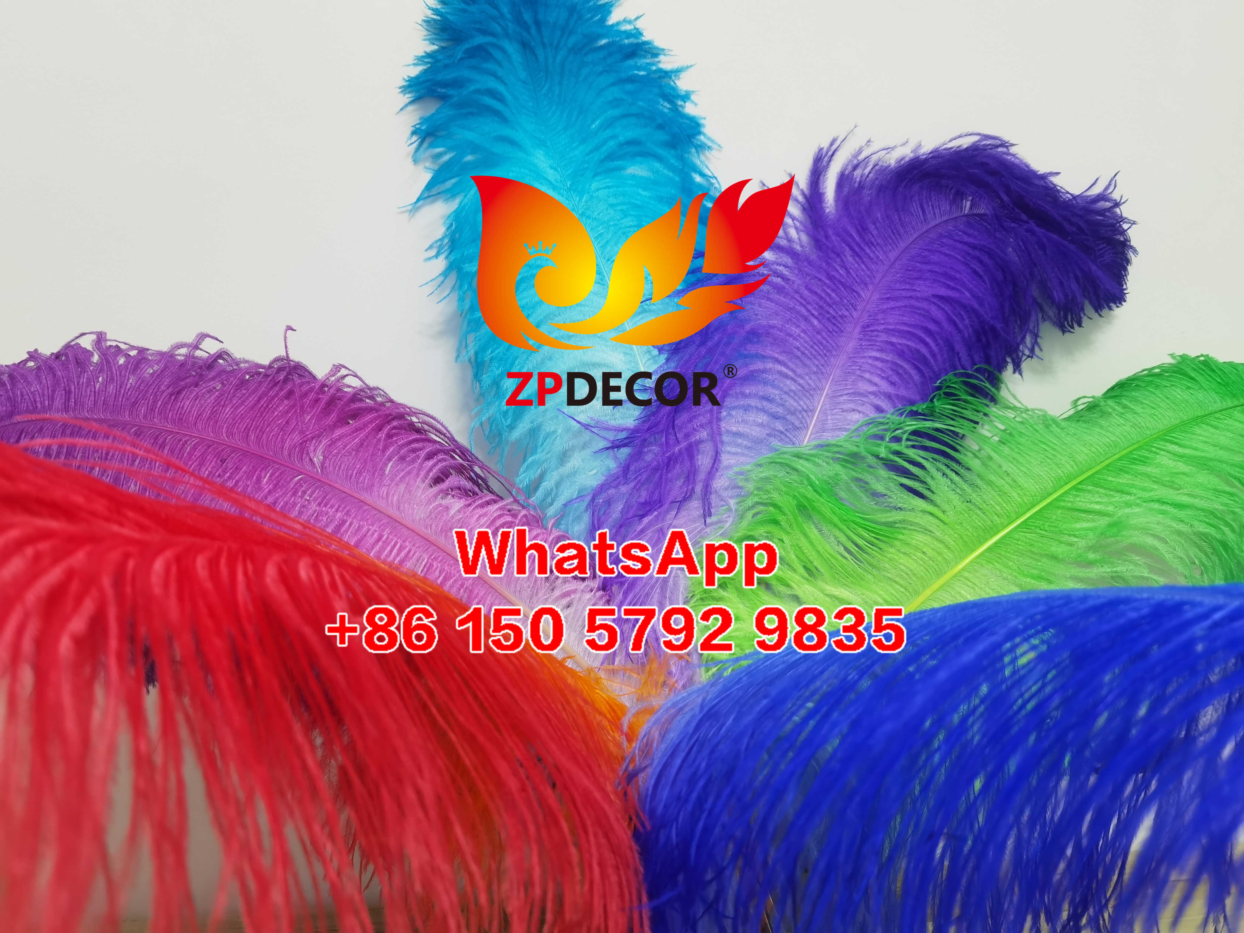 Zpdecor Feathers Supplier Large Dyed Ostrich Feathers for Carnival Costumes