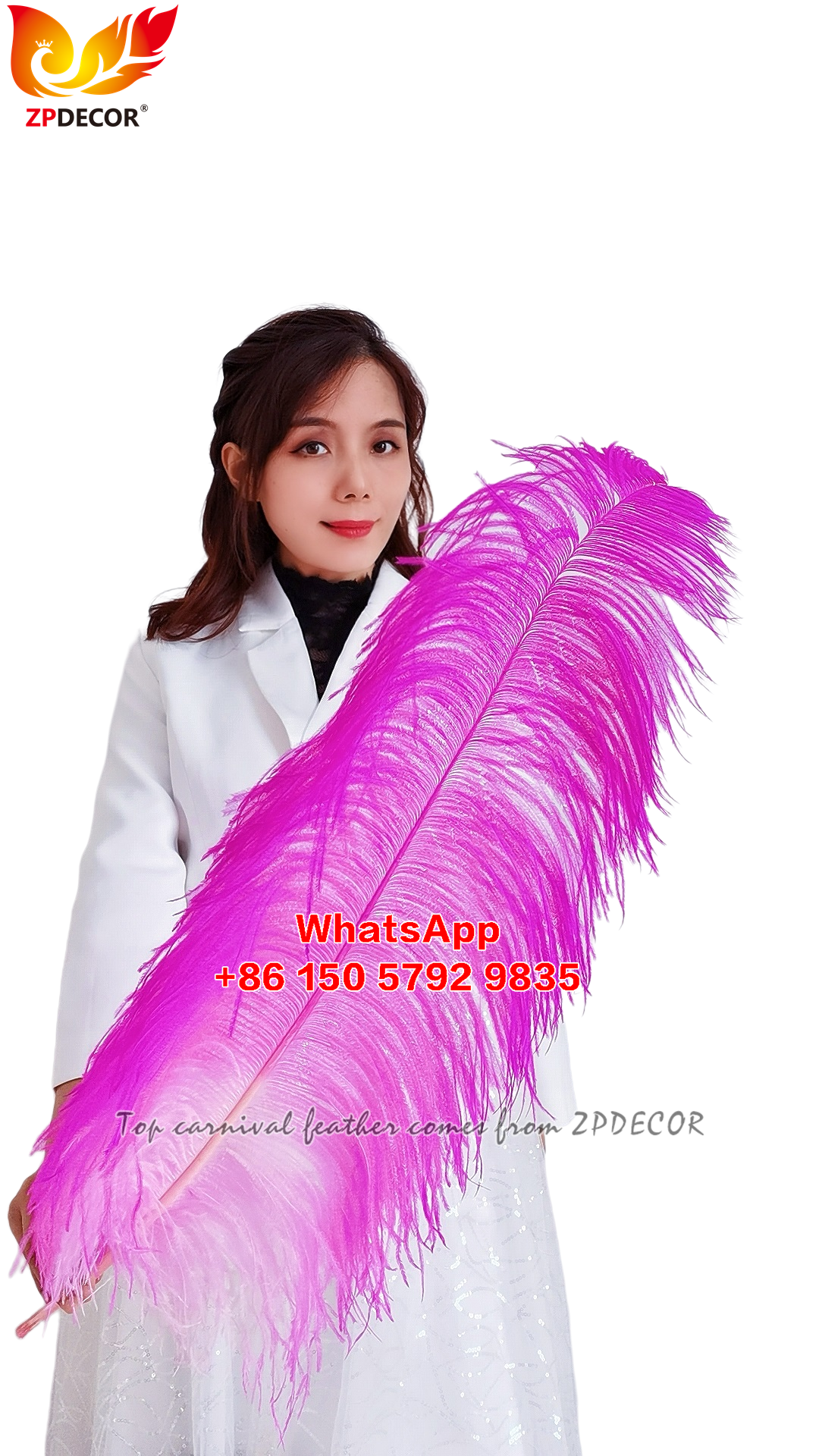 Zpdecor Feathers Supplier Large Dyed Ostrich Feathers for Carnival Costumes