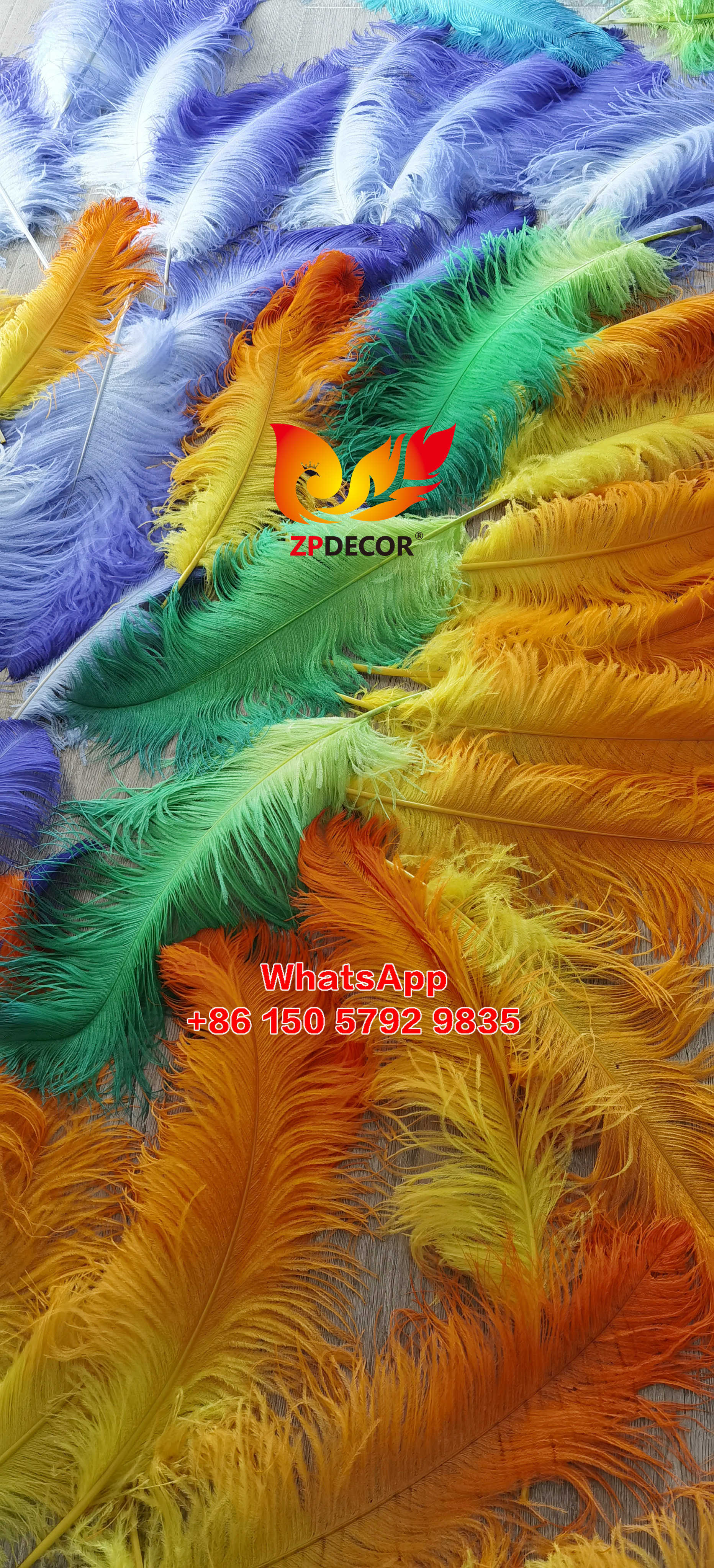 Zpdecor Feathers Supplier Large Dyed Ostrich Feathers for Carnival Costumes