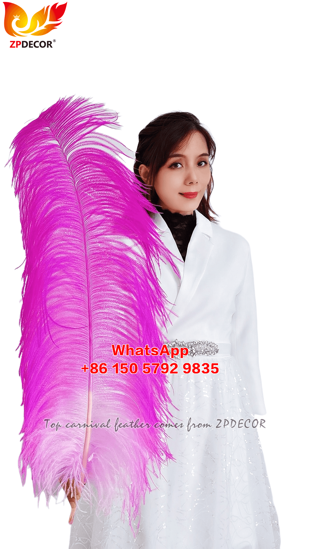 Zpdecor Feathers Supplier Large Dyed Ostrich Feathers for Carnival Costumes