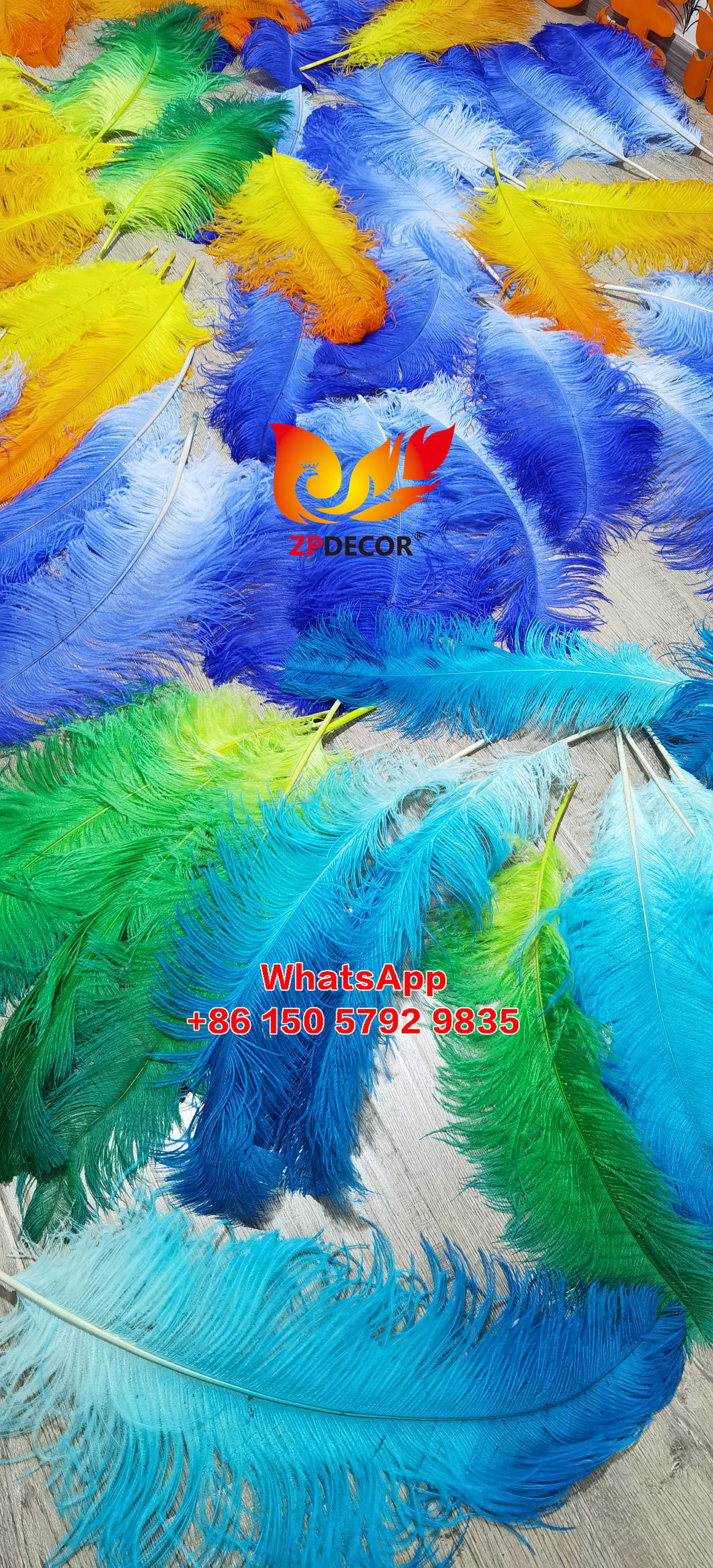 Zpdecor Feathers Supplier Large Dyed Ostrich Feathers for Carnival Costumes