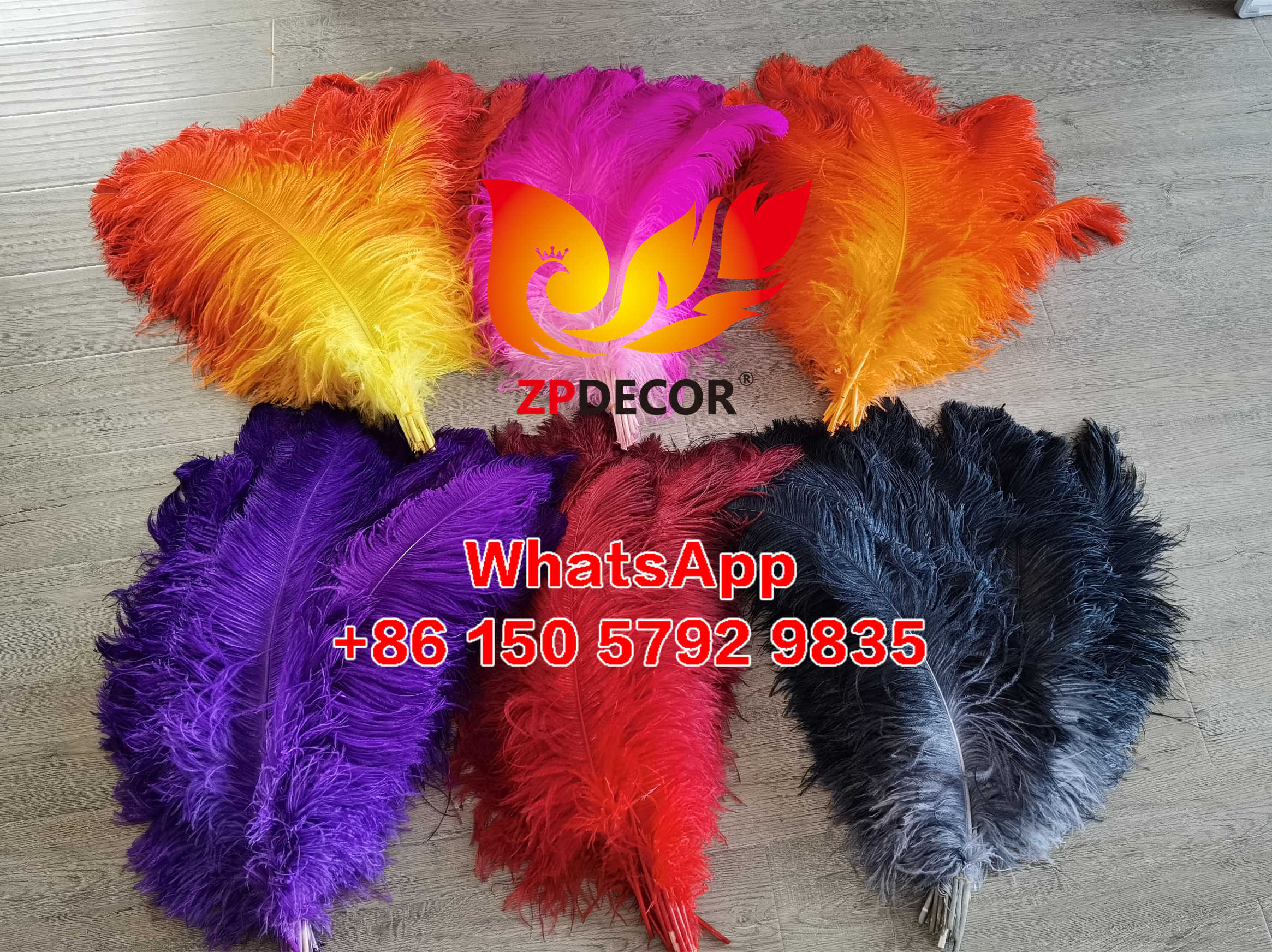 Zpdecor Feathers Supplier Large Dyed Ostrich Feathers for Carnival Costumes