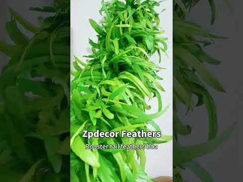 Zpdecor Feathers customized Coque feathers boa